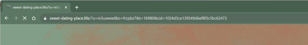 sweet-dating-place.life malware