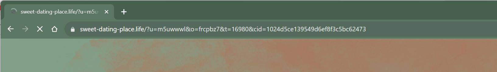 sweet-dating-place.life malware