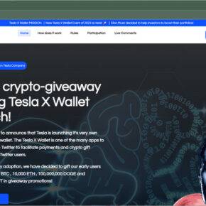 tesla X wallet