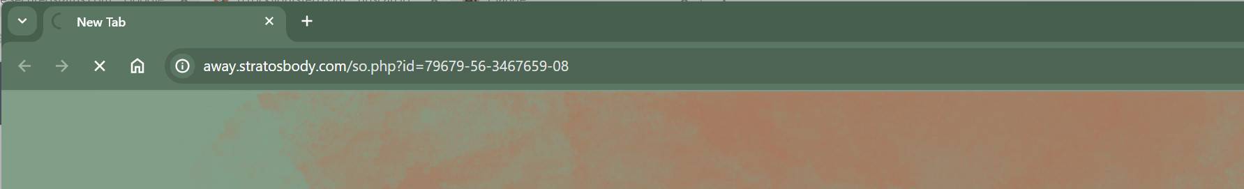 Stratosbody.com Malware