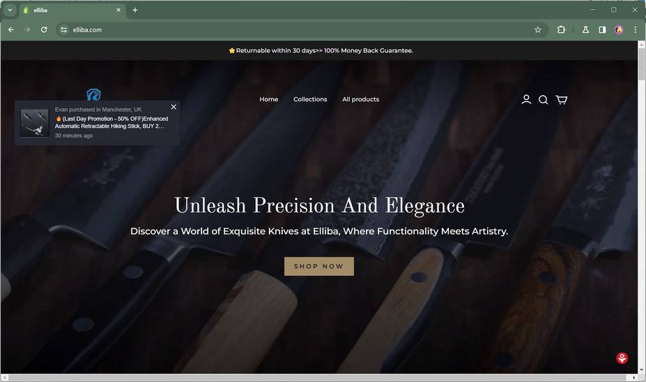elliba.com scam