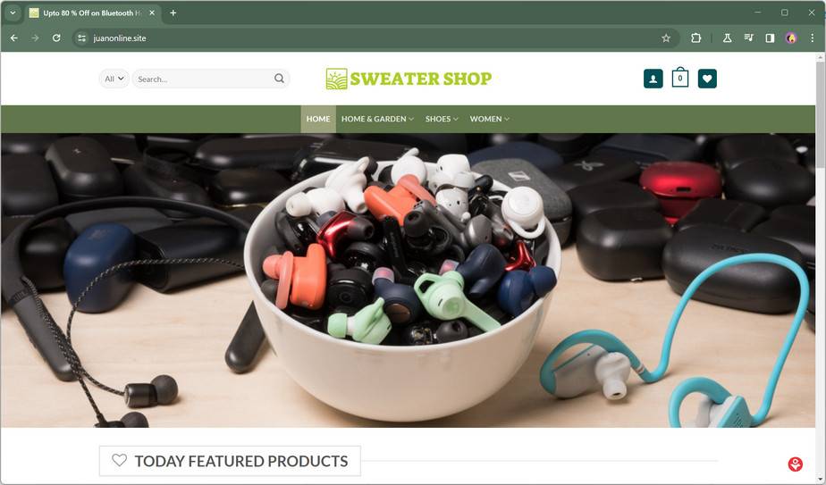 juanonline.site scam