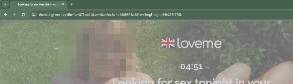 thedatinghere-top.life scam