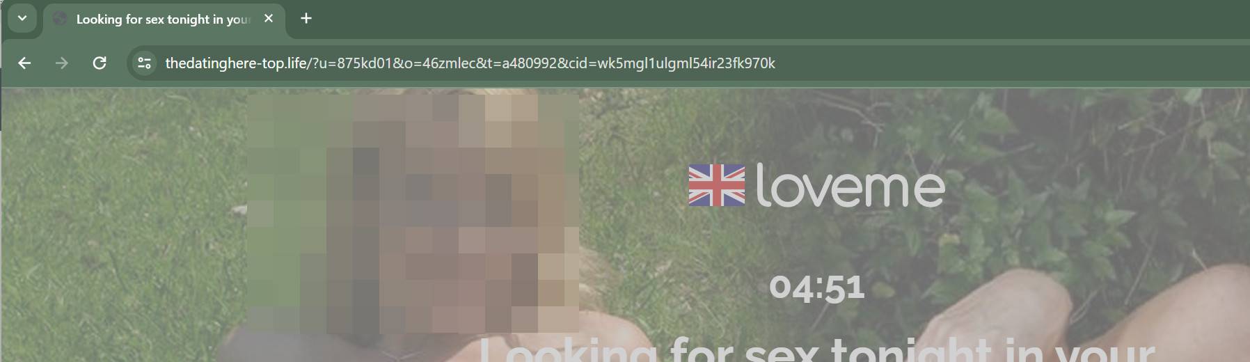 thedatinghere-top.life scam