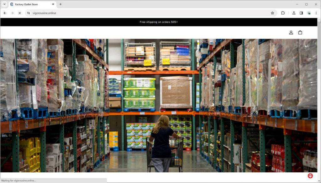 vigorousine.online scam