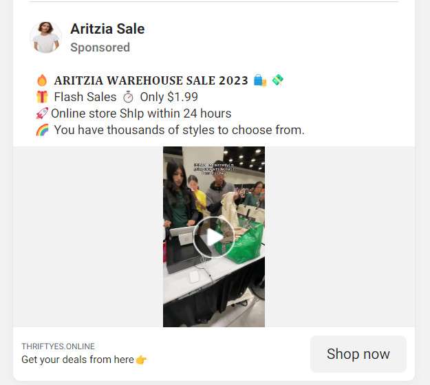 Exposed: The Viral $1.99 Aritzia Warehouse Sale Scam