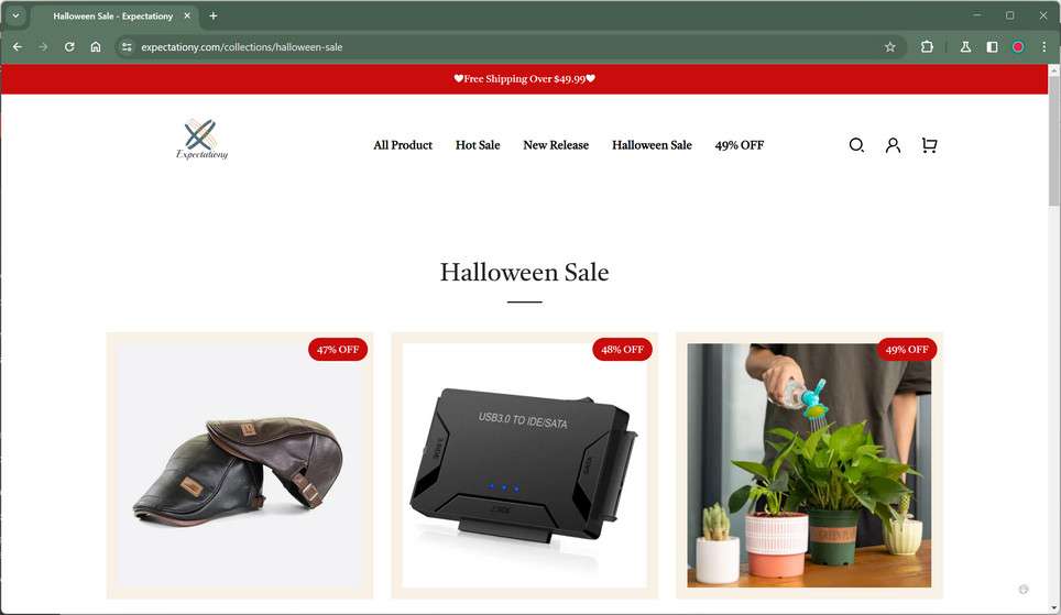 Expectationy.com scam