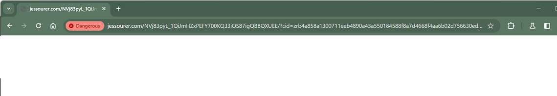 Jessourer.com malware