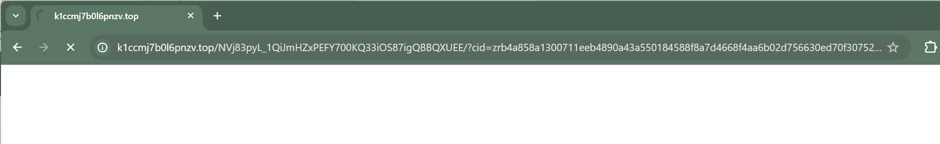 K1ccmj7b0l6pnzv.top malware