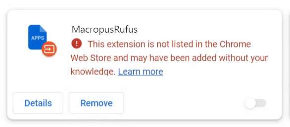 MacropusRufus