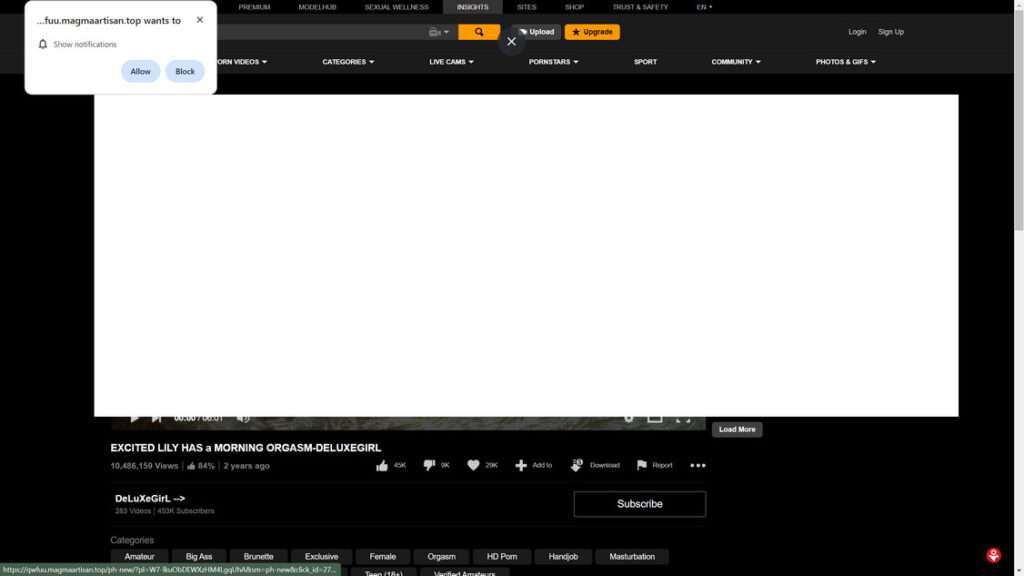 Magmaartisan.top malware