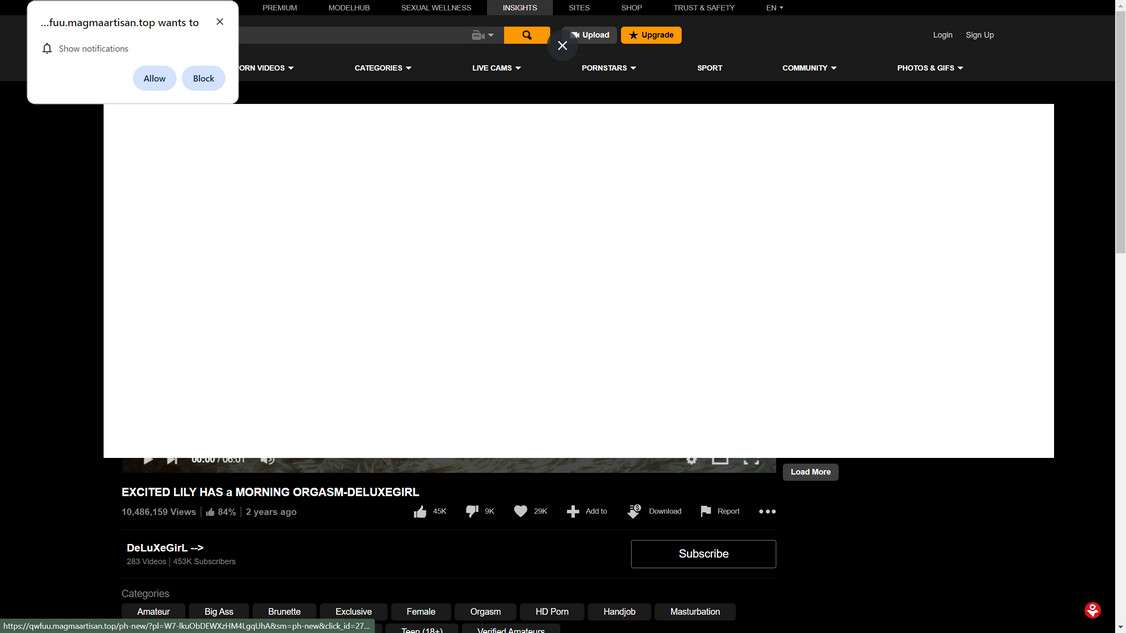 Magmaartisan.top malware