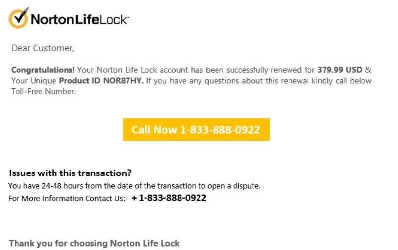 Norton Scam 1