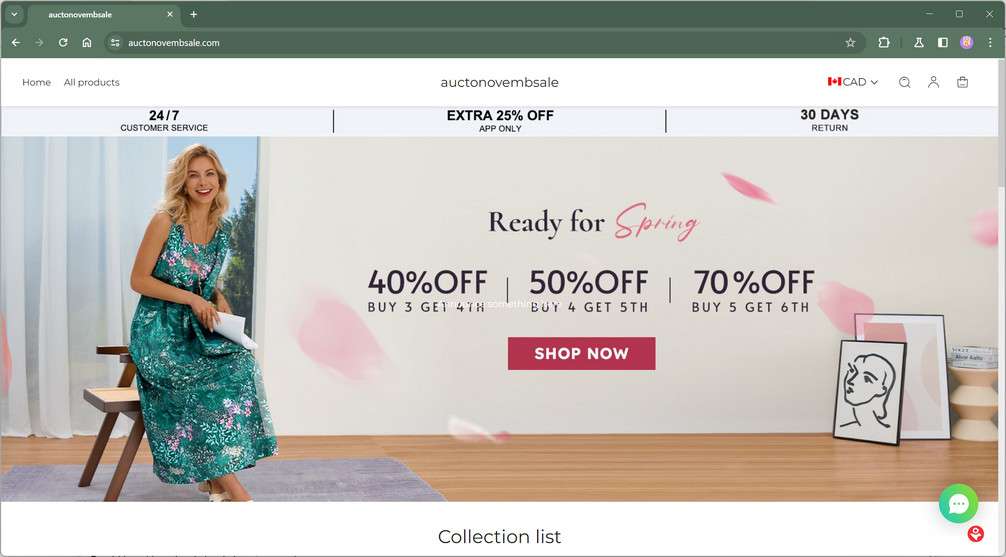 auctonovembsale.com scam