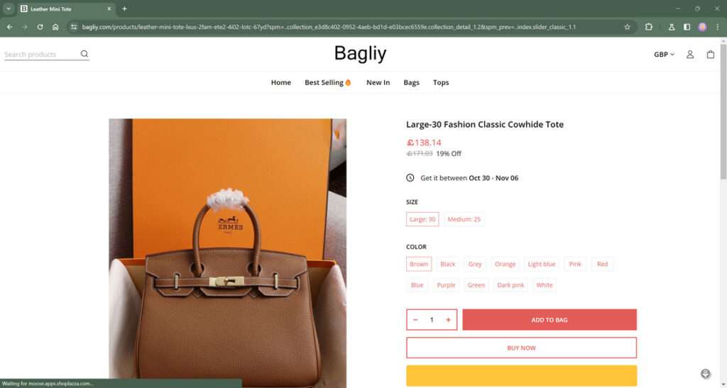 bagliy.com scam