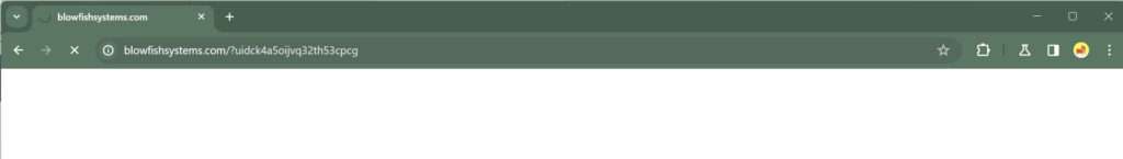 blowfishsystems.com malware