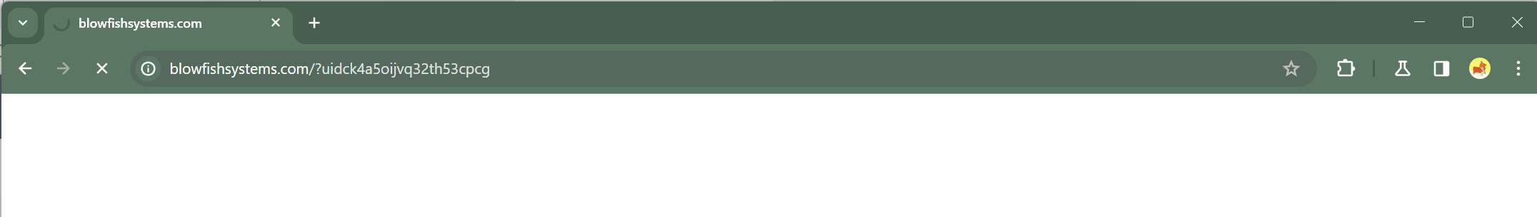 blowfishsystems.com malware
