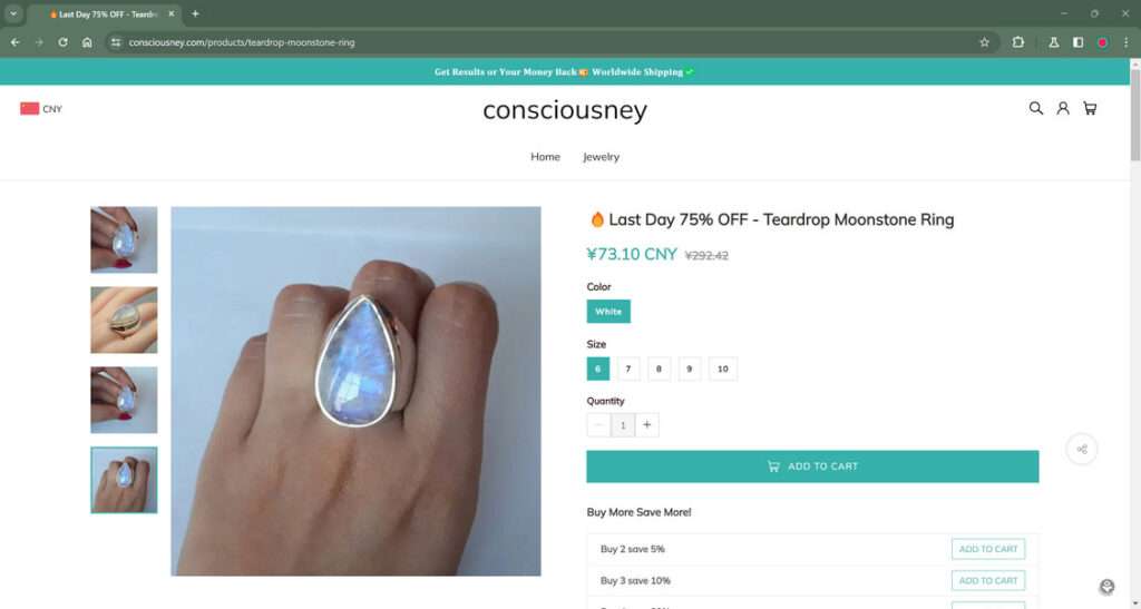 consciousney.com scam