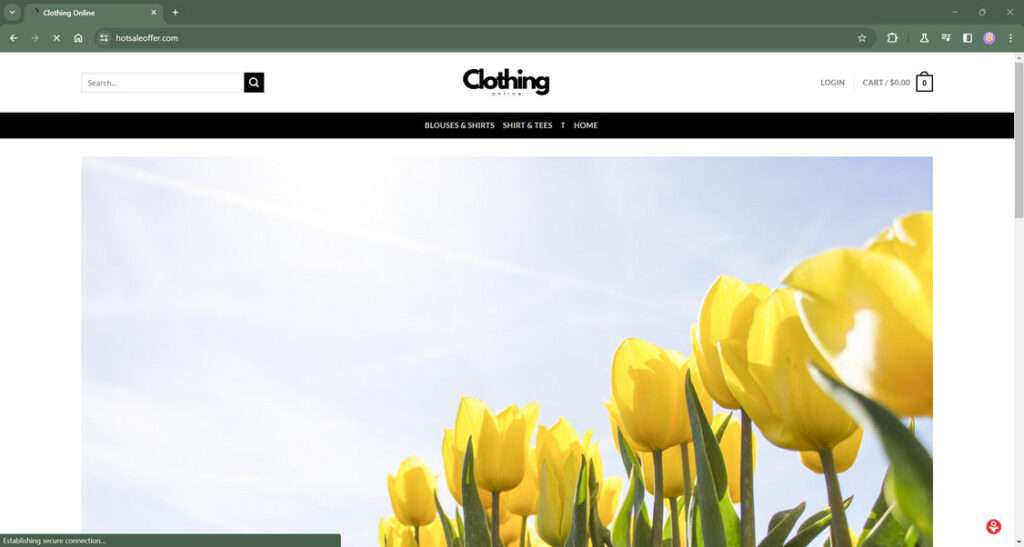 hotsaleoffer.com scam