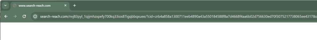 search-reach.com redirect