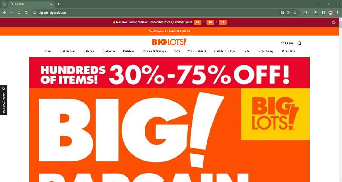 Biglosts-bigdeals.com Scam Store Warning - Don't Shop There