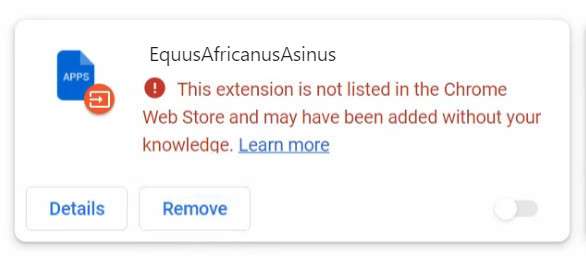 EquusAfricanusAsinus