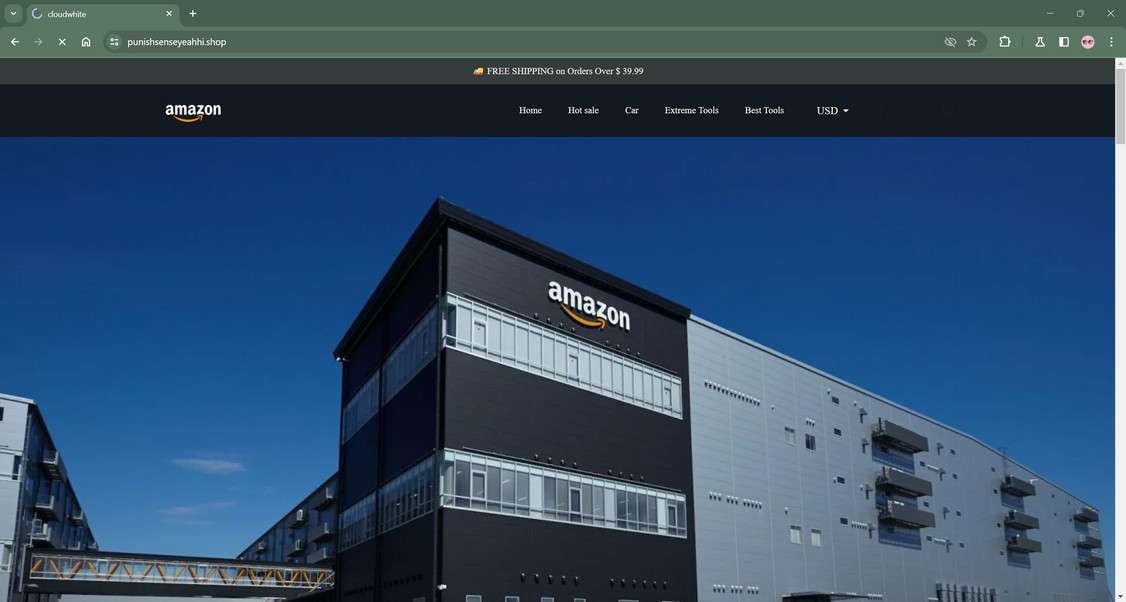 Punishsenseyeahhi.shop scam