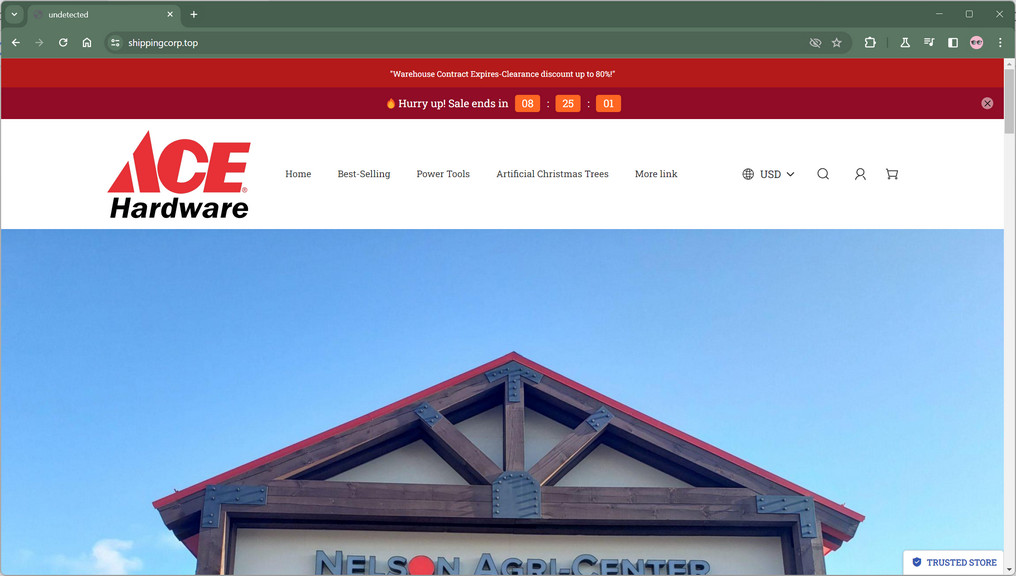 Don't Fall For The Ace Hardware Clearance Sale 90% Off Scam