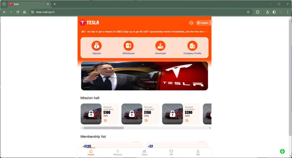 Tesla mall.vip scam