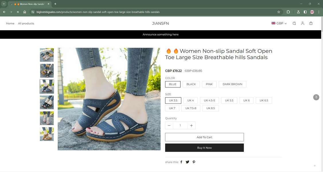 biglostsbigsales.com scam