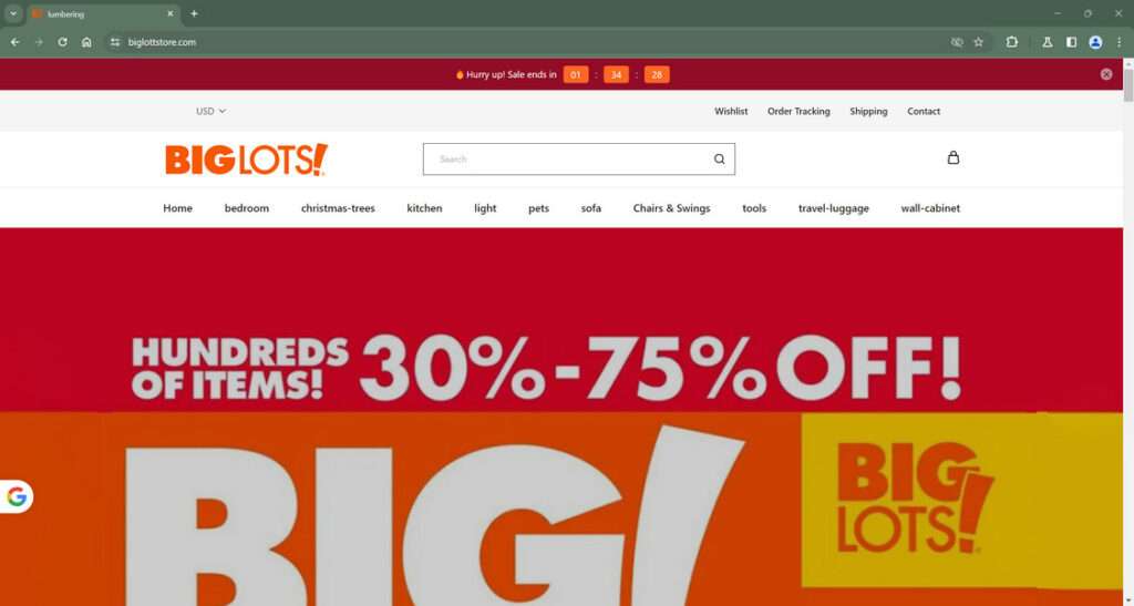 biglottstore.com scam