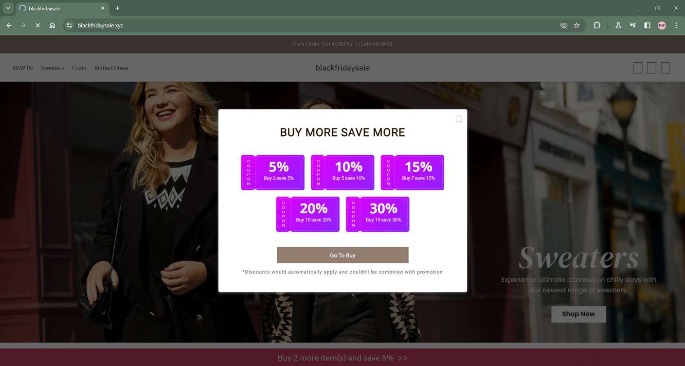 blackfridaysale.xyz scam