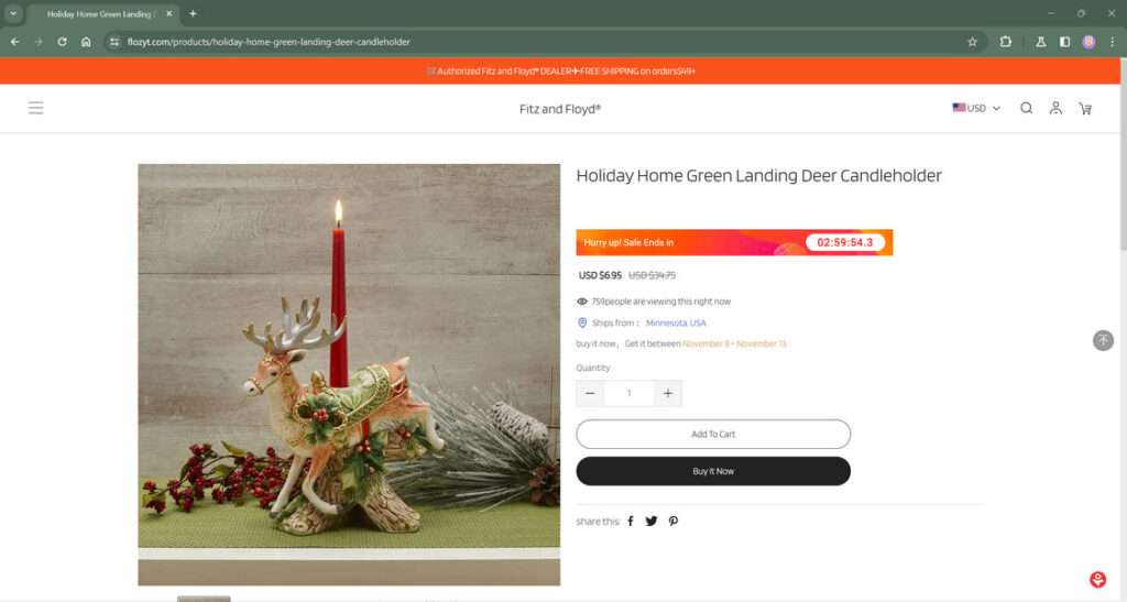 Don't Trust Flozyt.com - We Confirm it's a Sneaky Scam Store 1 flozyt.com scam