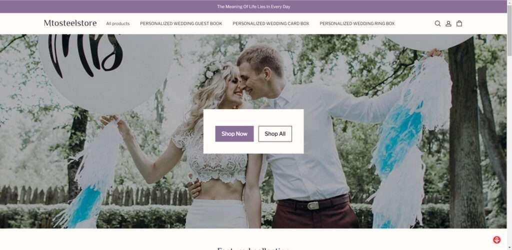 mtosteelstore.com scam