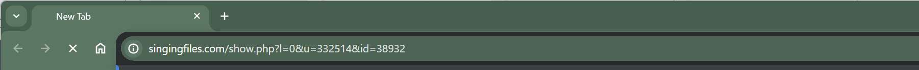 singingfiles.com malware