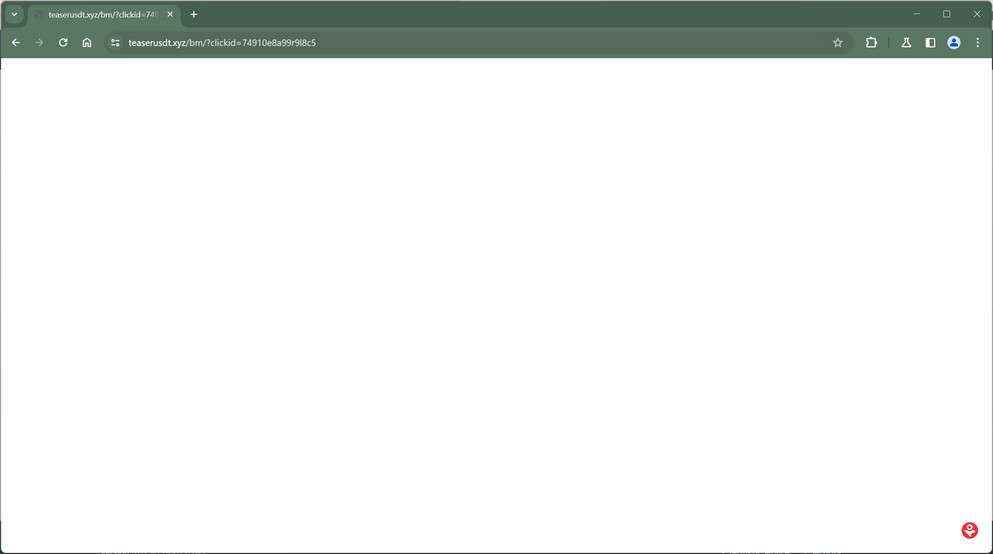 teaserusdt.xyz malware