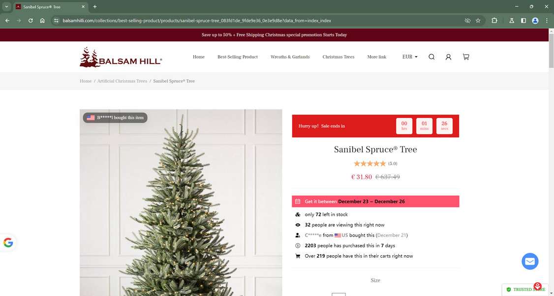 Scam Store A Fake Balsam Hill Website