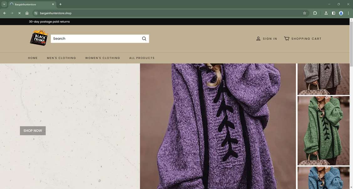 Bargainhunterstore.shop scam