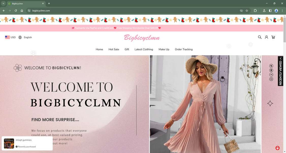 Bigbicyclmn.com scam