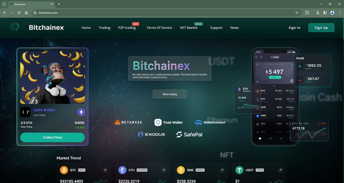 Bitchainex scam
