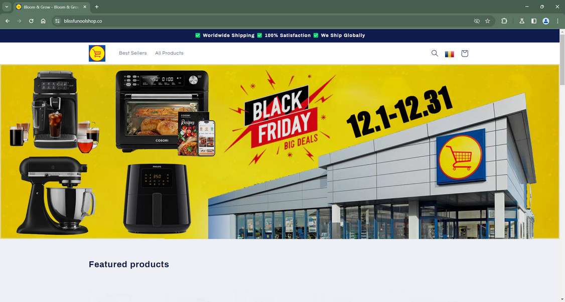 Blissfunoolshop.co scam