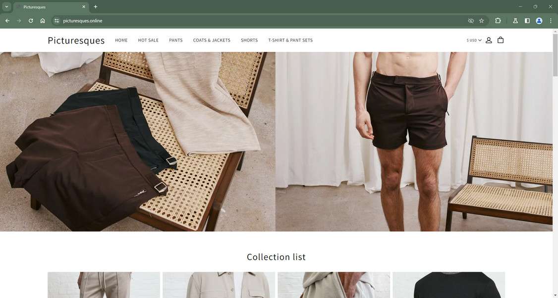 Picturesques.online scam
