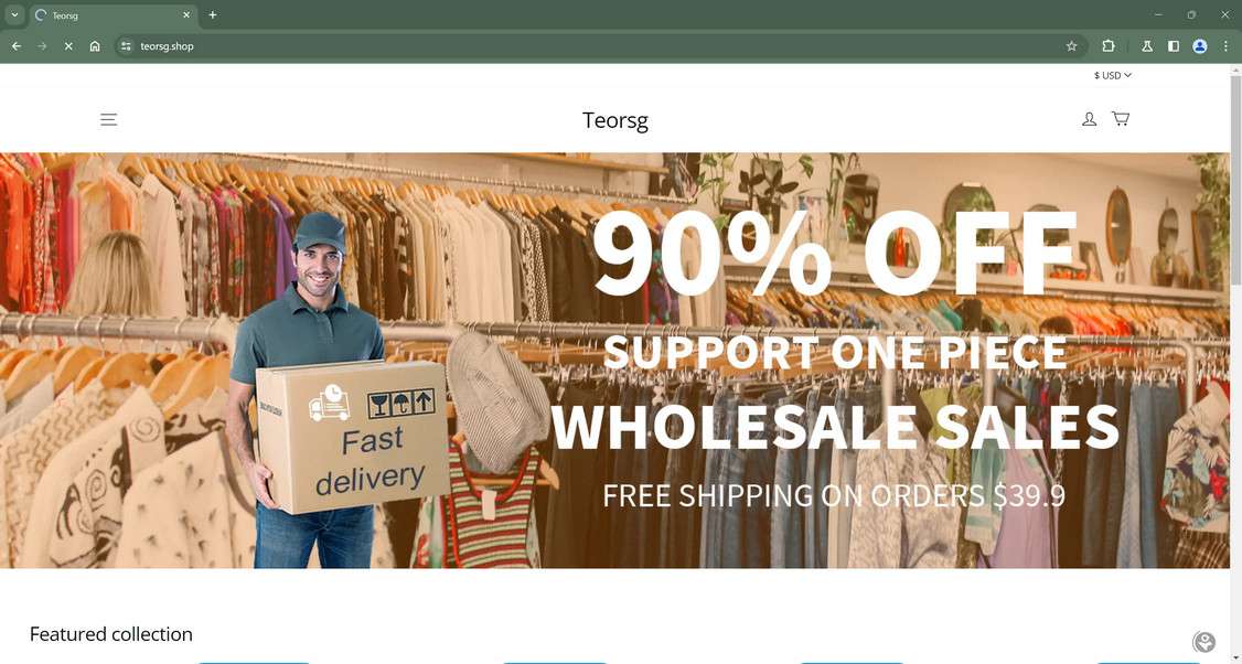 Teorsg.shop Store Is 100% Scam - Don't Shop Here