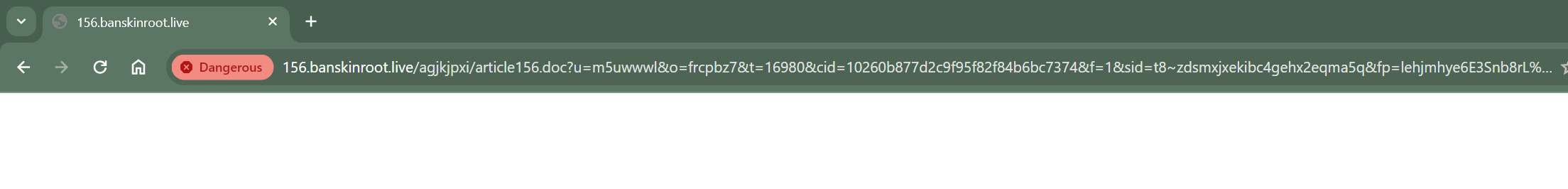 banskinroot.live malware