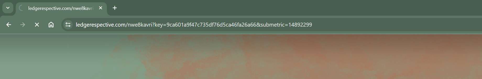 ledgerespective.com malware