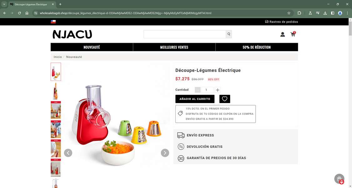 wholesalebagsb.shop scam