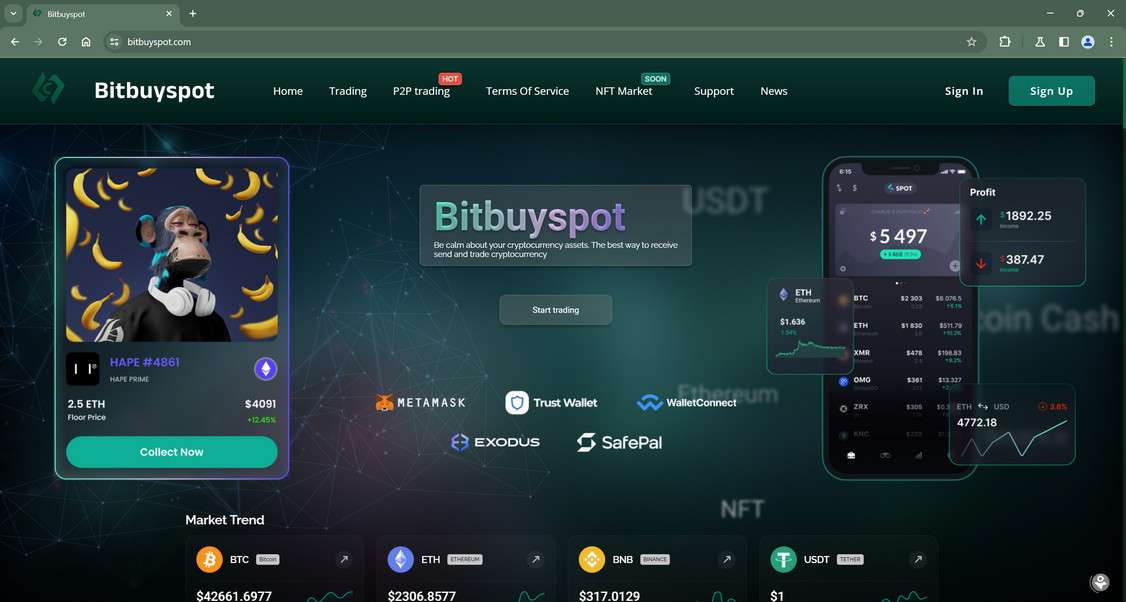 Bitbuyspot scam