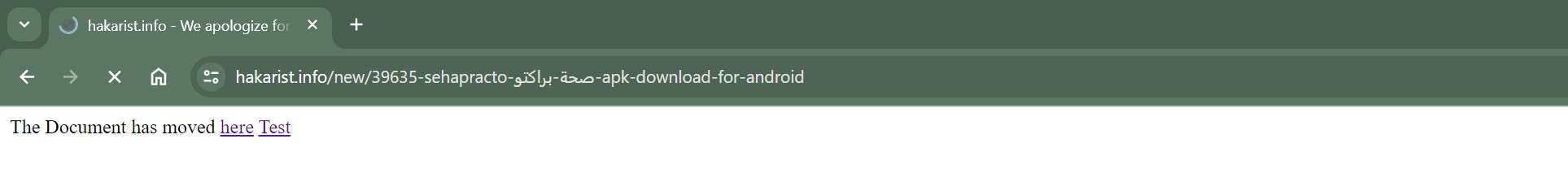 Hakarist.info malware
