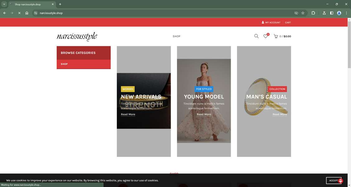 Narcissustyle.shop scam