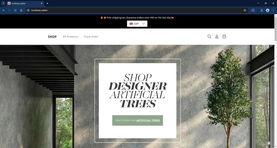 Tcsvfswes.online scam